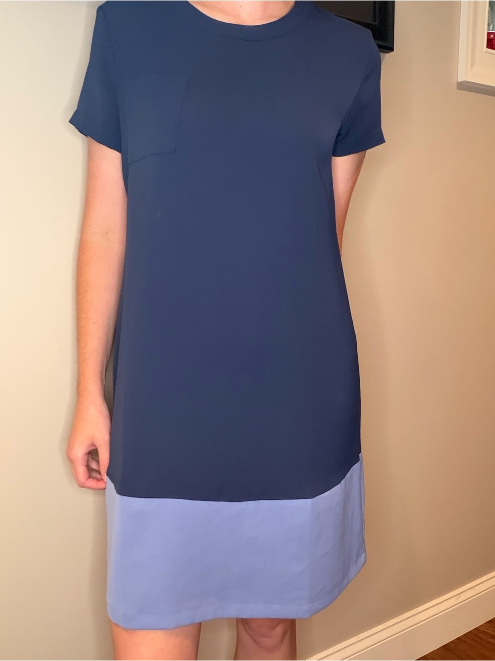 Adrienne Vittadini Blue Colorblock Short Sleeve Shift Dress with Pocket